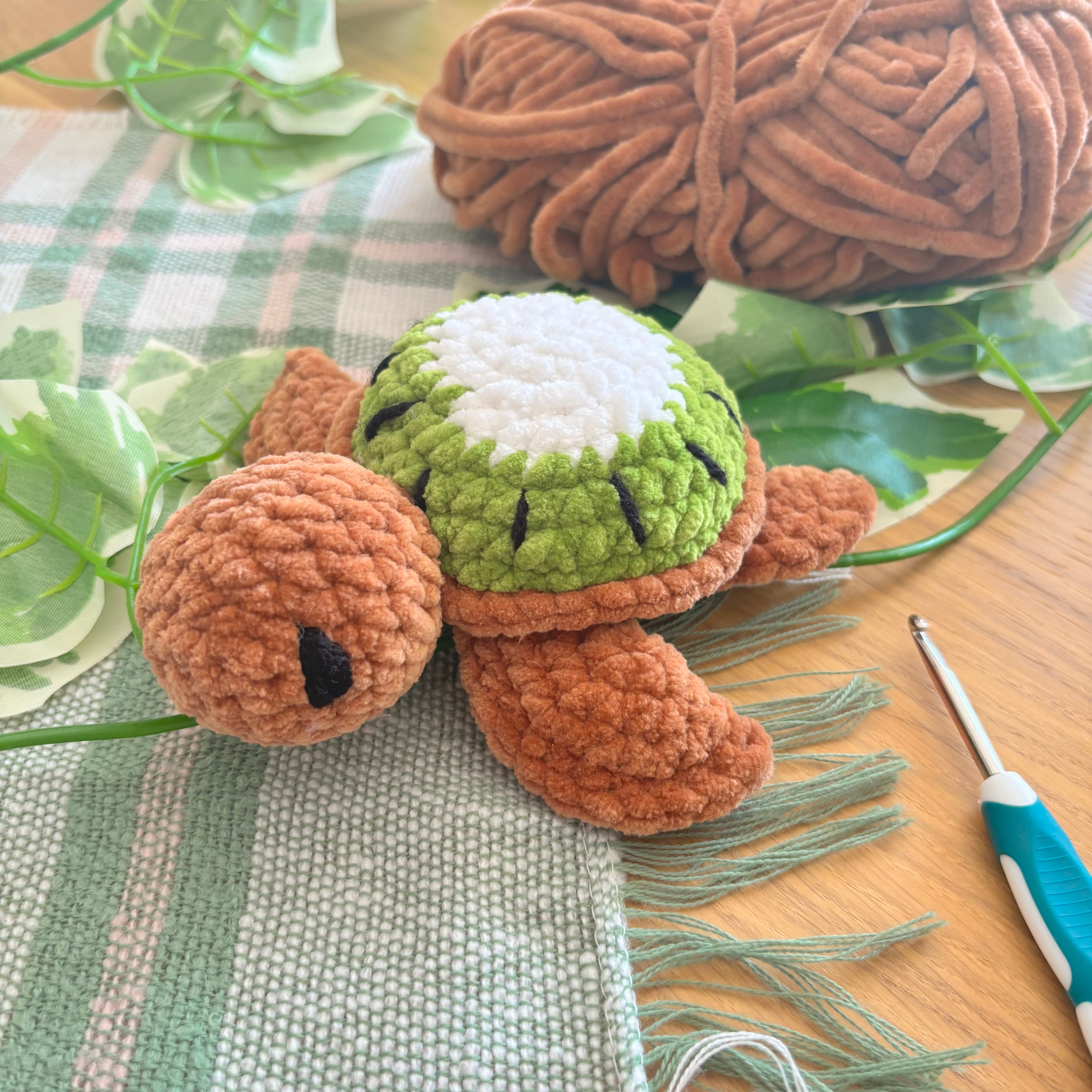Tortues Fruits