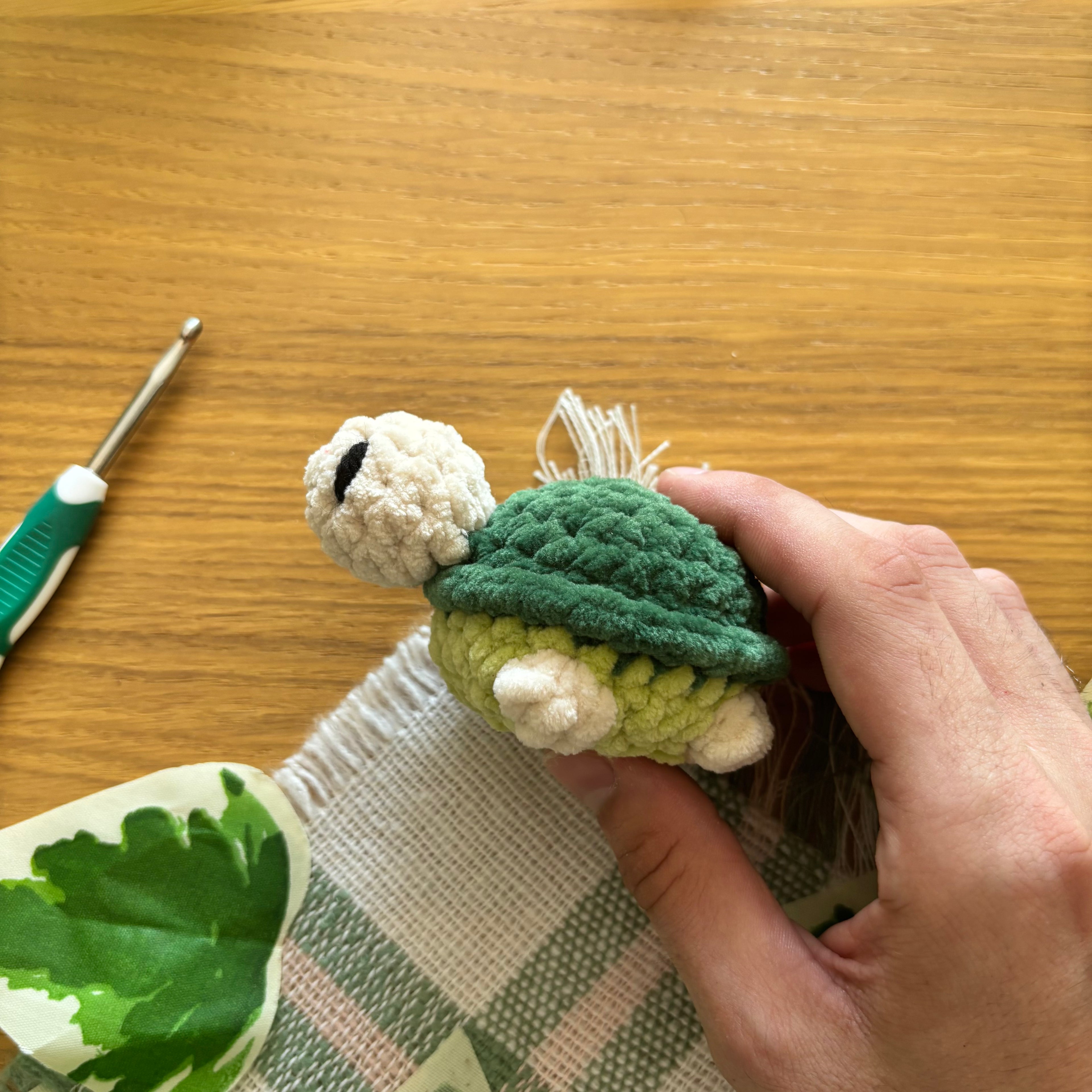 Mini tortue