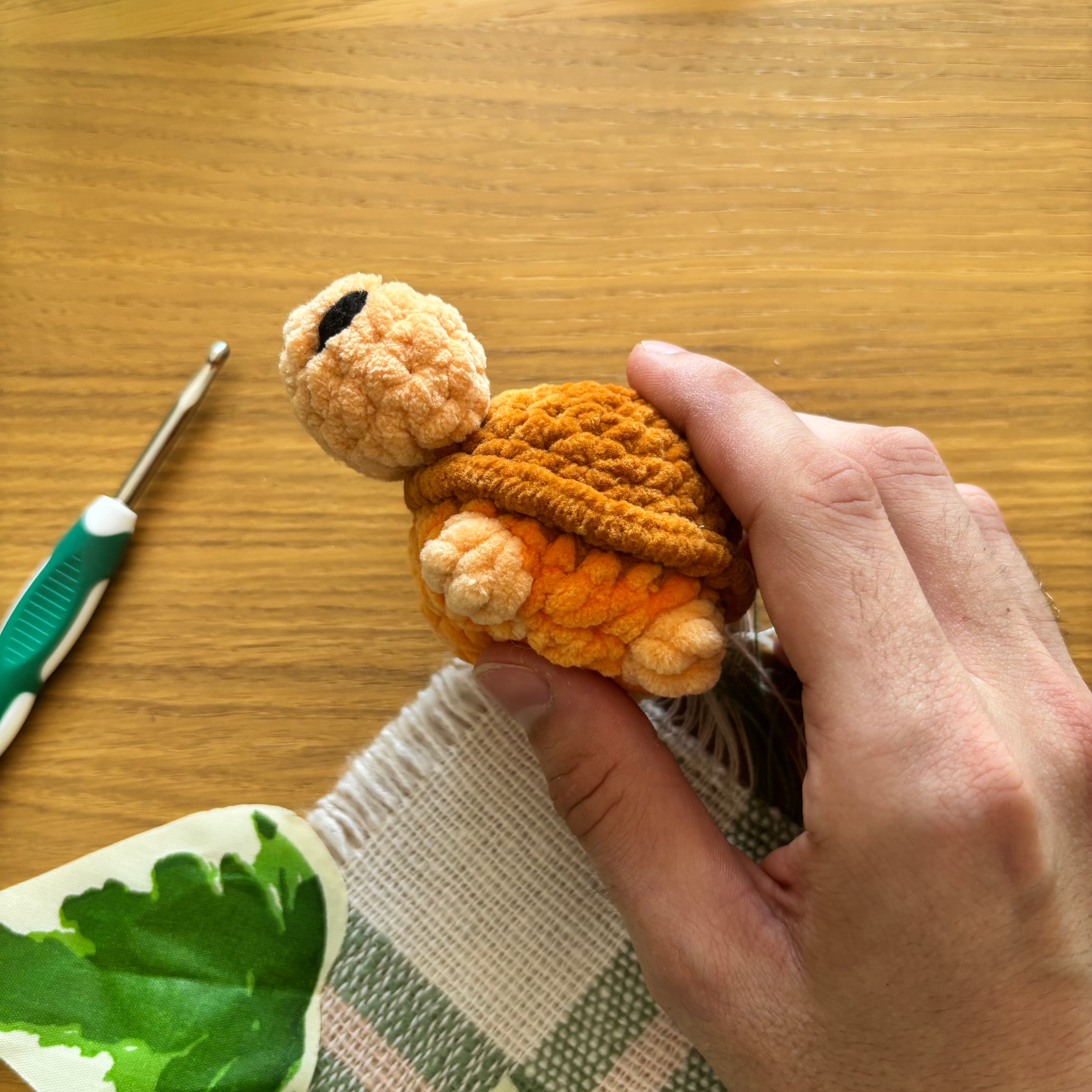 Mini tortue